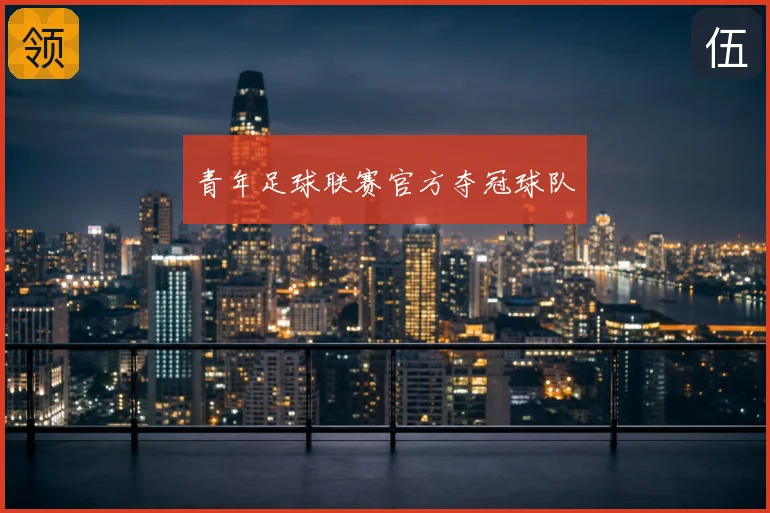 青年足球联赛官方夺冠球队